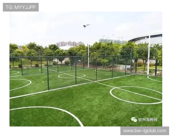 围绕乌图河生态足球场打造绿色体育与河湖景观融合发展示范样板区